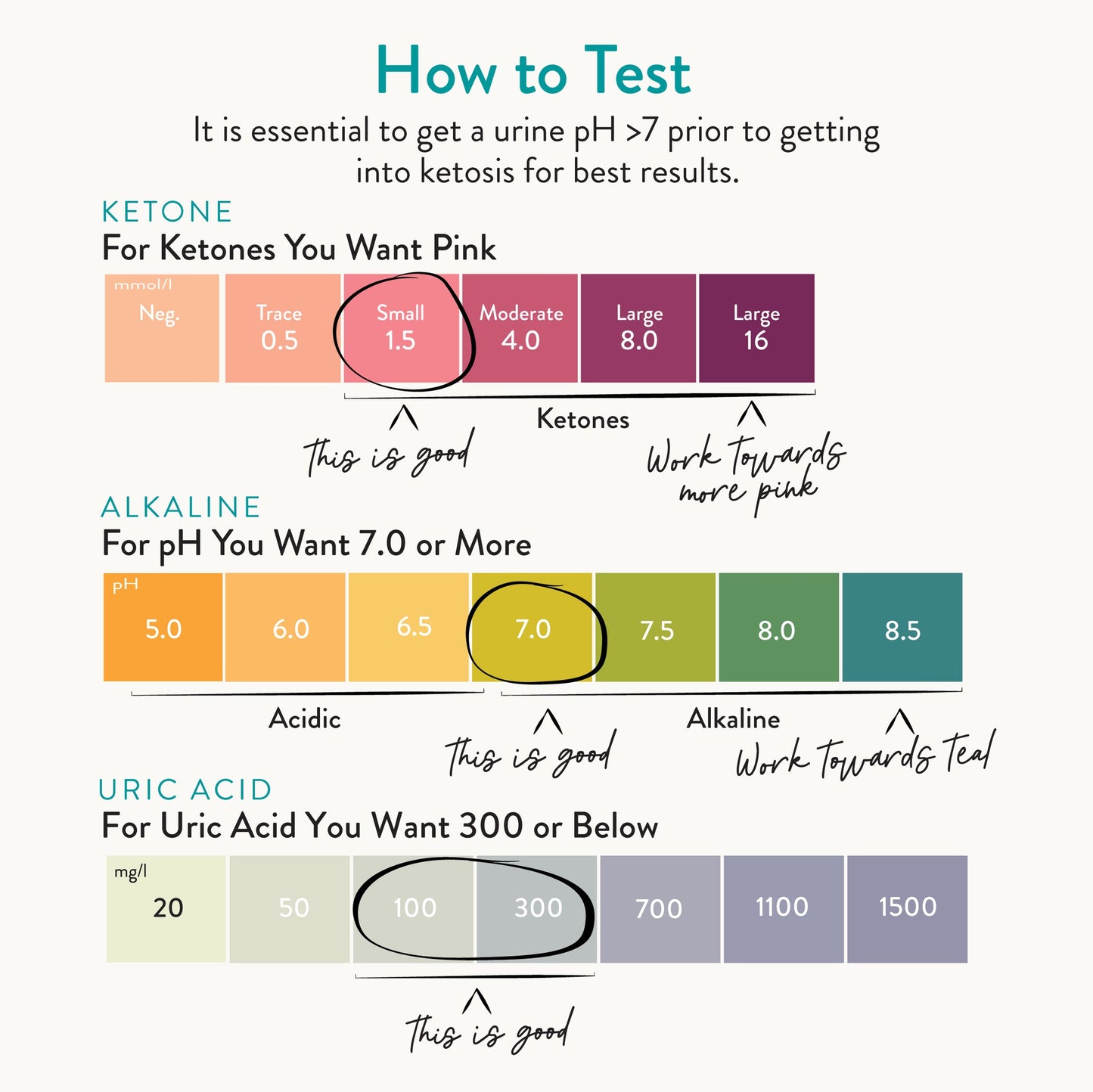 Keto-Green® 16 Quick Start Kit